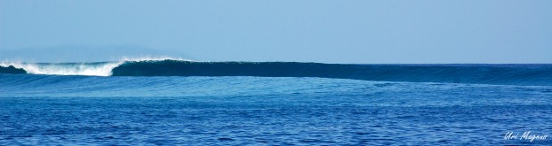 גל מושלם - צילום גלישה